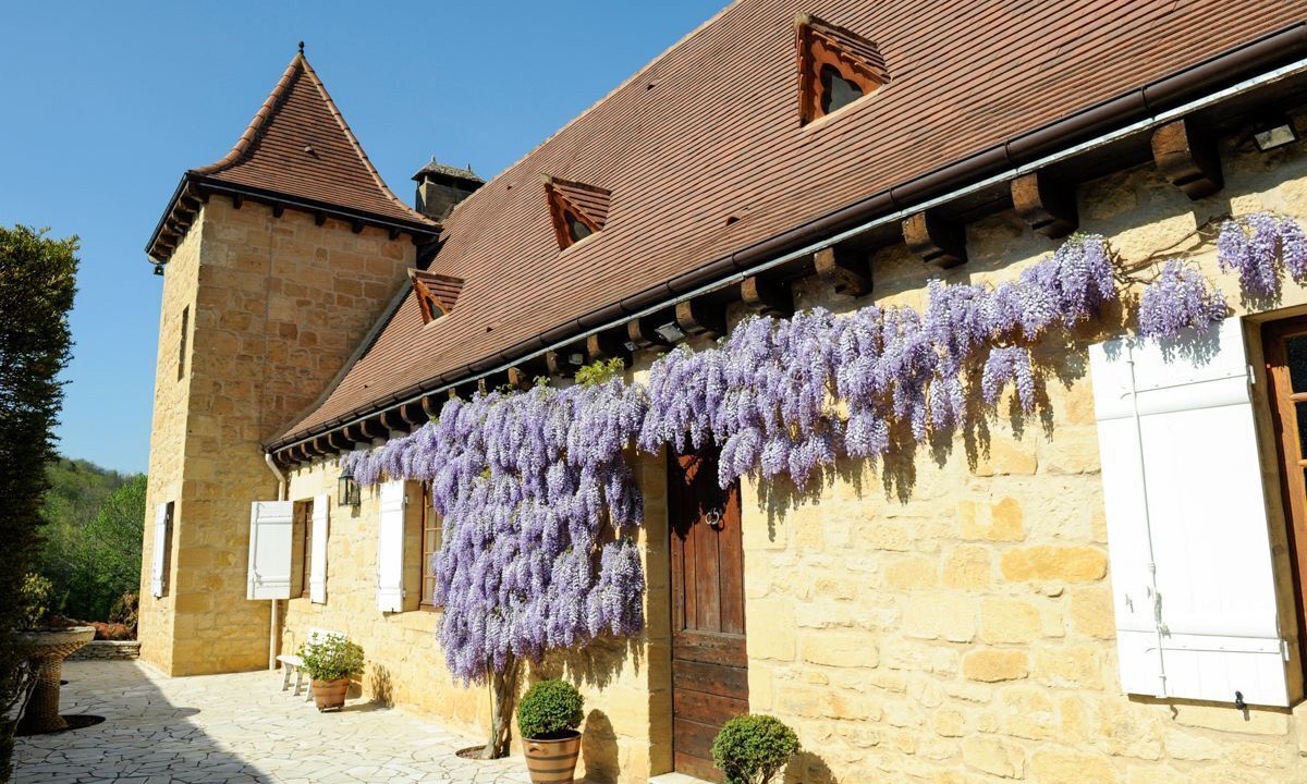 Photo of Others in Castelnaud-la-Chapelle