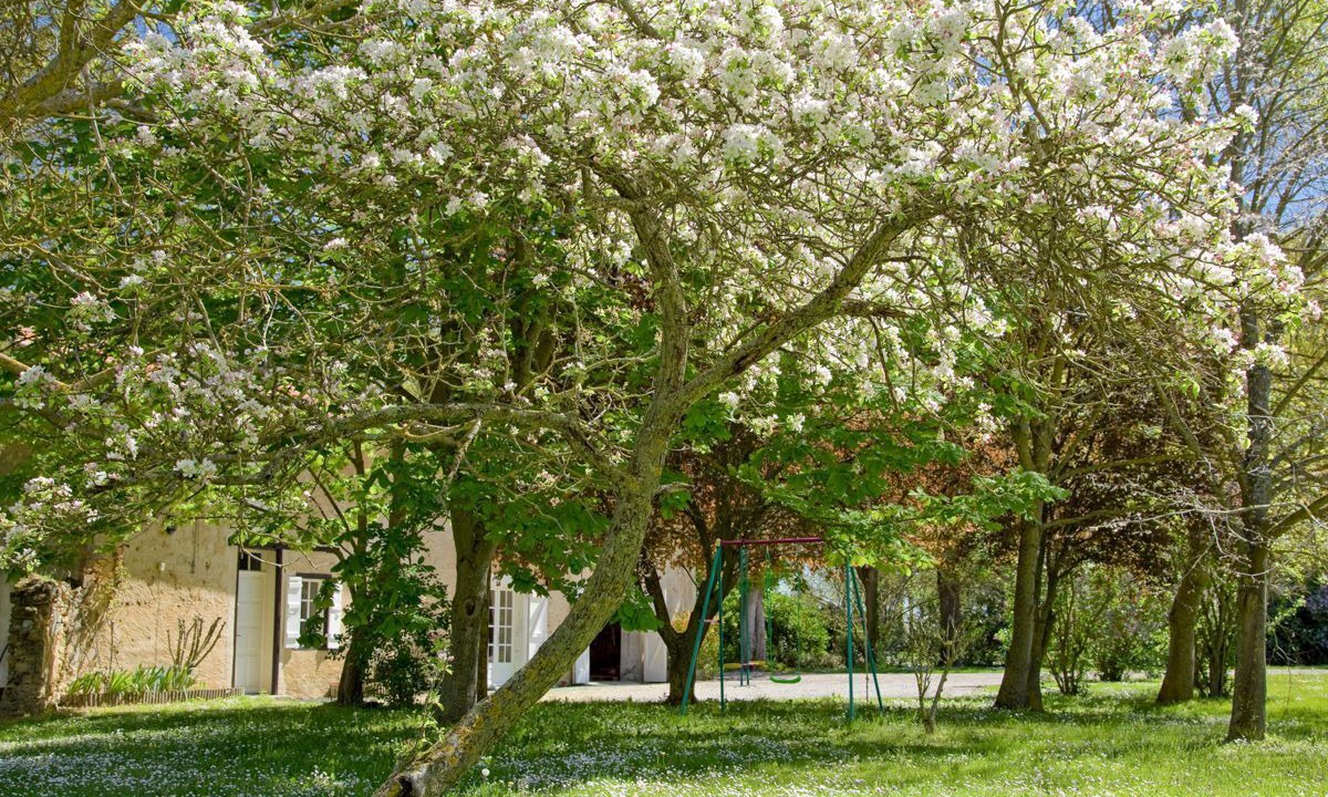 Photo of Others in Plaigne