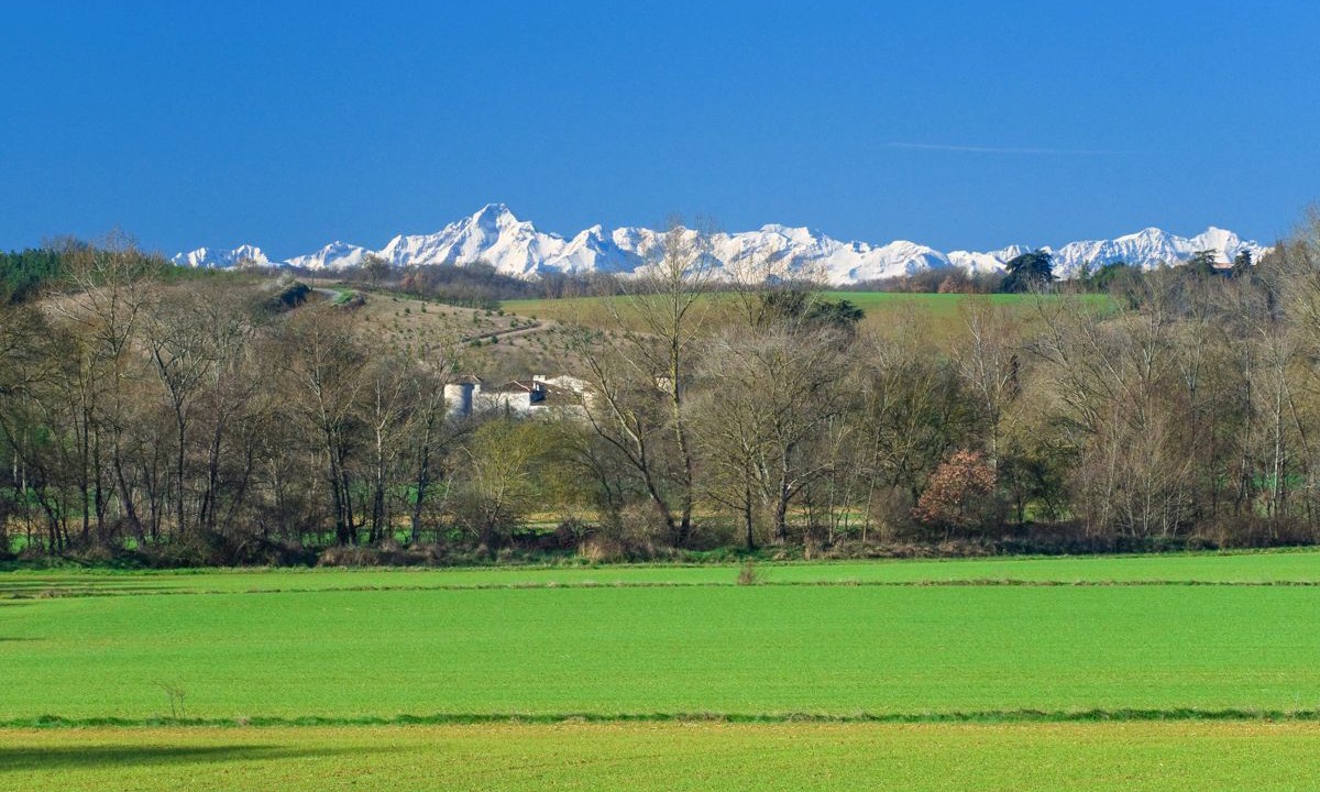 Photo of Others in Plaigne