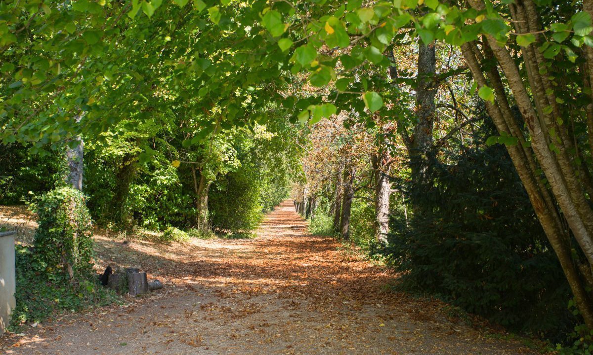 Photo of Others in Annesse-et-Beaulieu