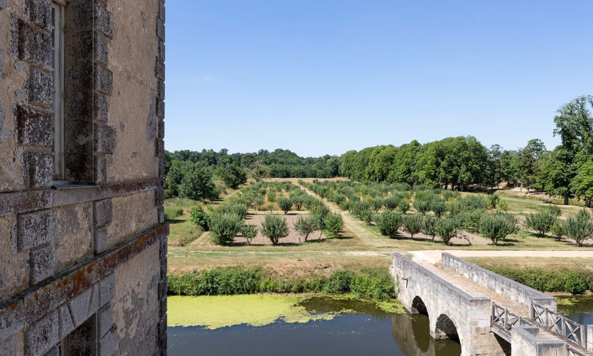 Photo of Others in Saint-Loup-Lamaire
