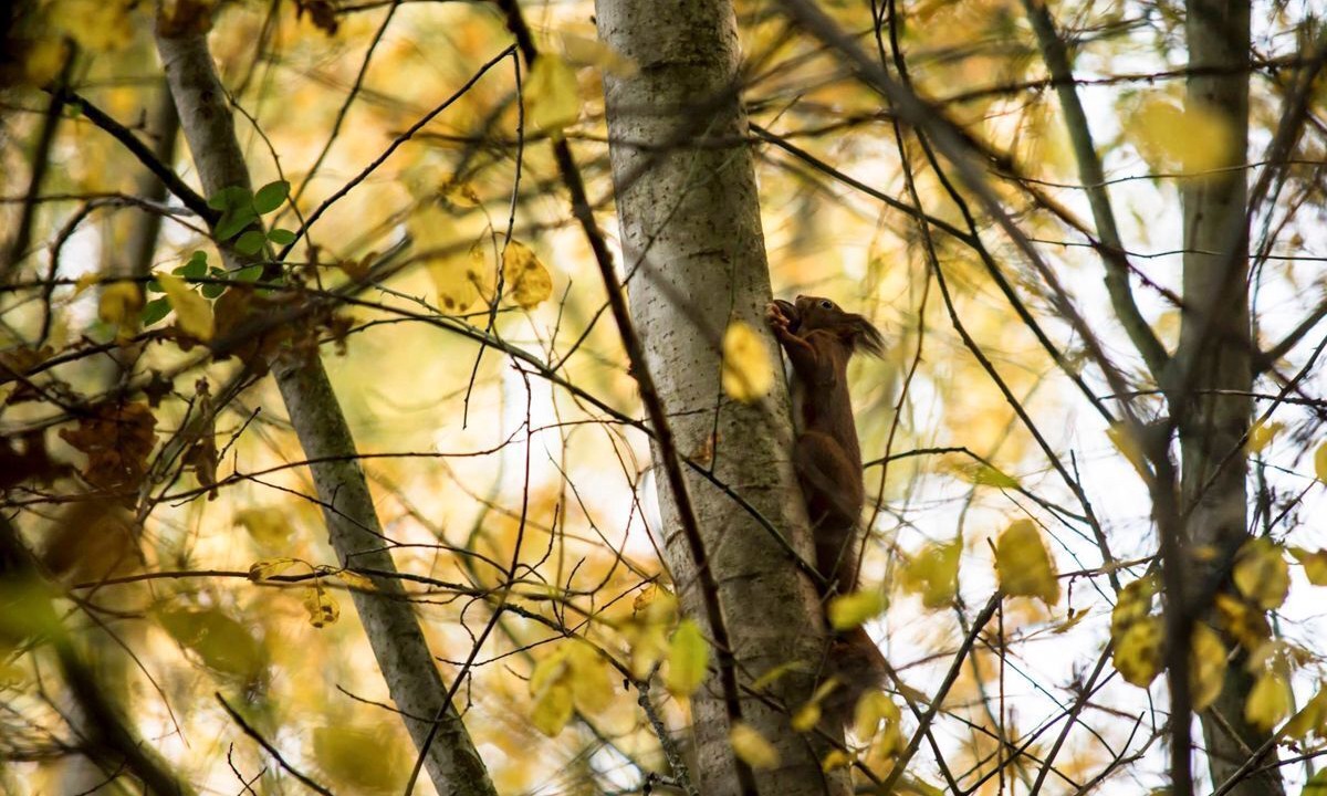 Photo of Others in Vireux-Wallerand