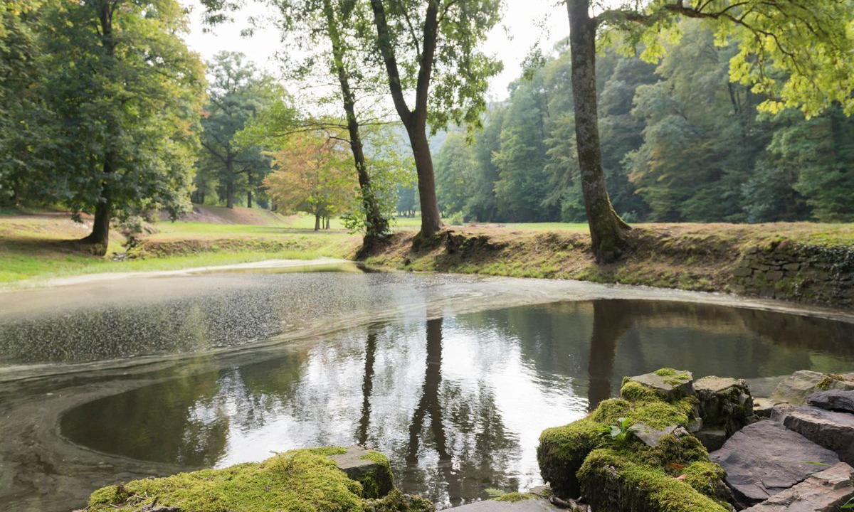 Photo of Others in Vireux-Wallerand