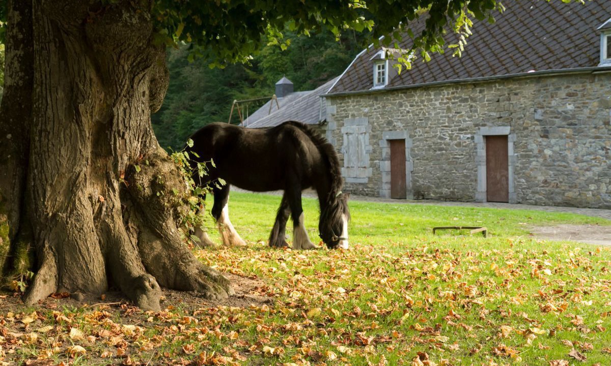 Photo of Others in Vireux-Wallerand