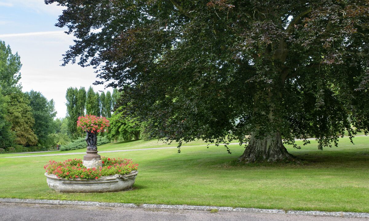 Photo of Outdoor in Pennedepie