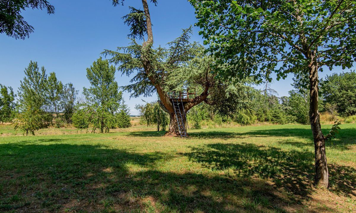 Photo of Others in Gaillac