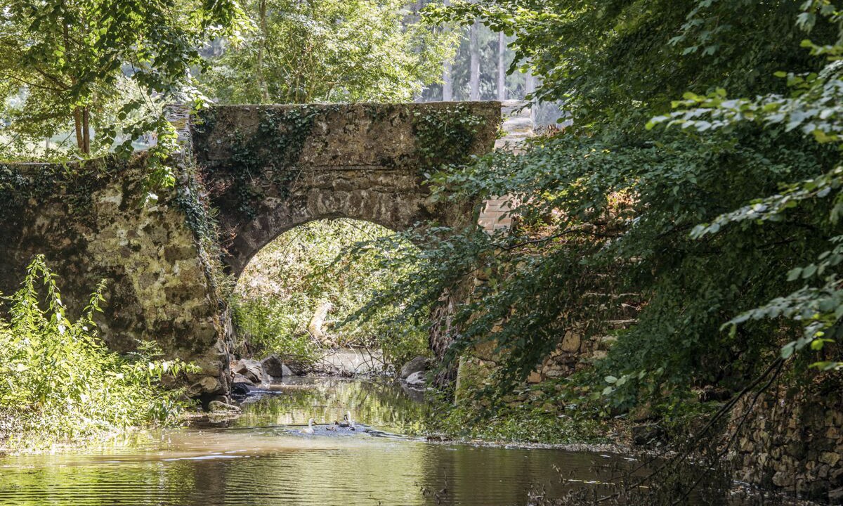 Photo of Outdoor in Trementines