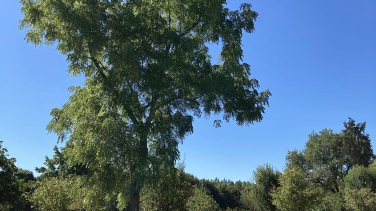 Photo of Others in Saint-Martory