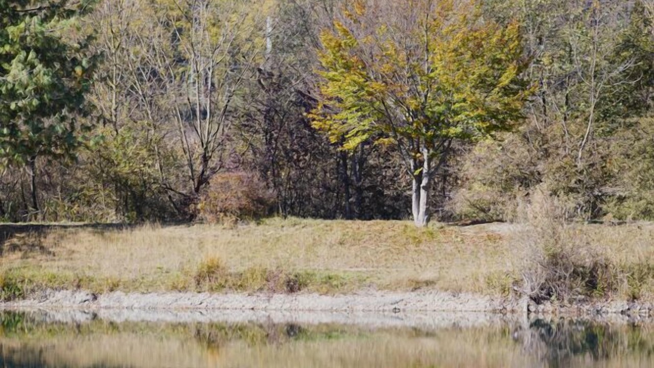 Photo of Others in Saint-Pierre-d'Albigny