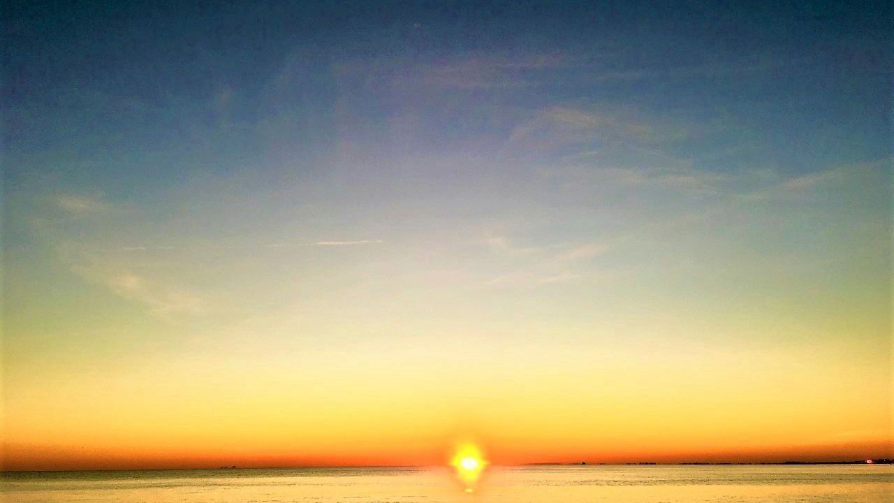 Photo of Others in Folkestone