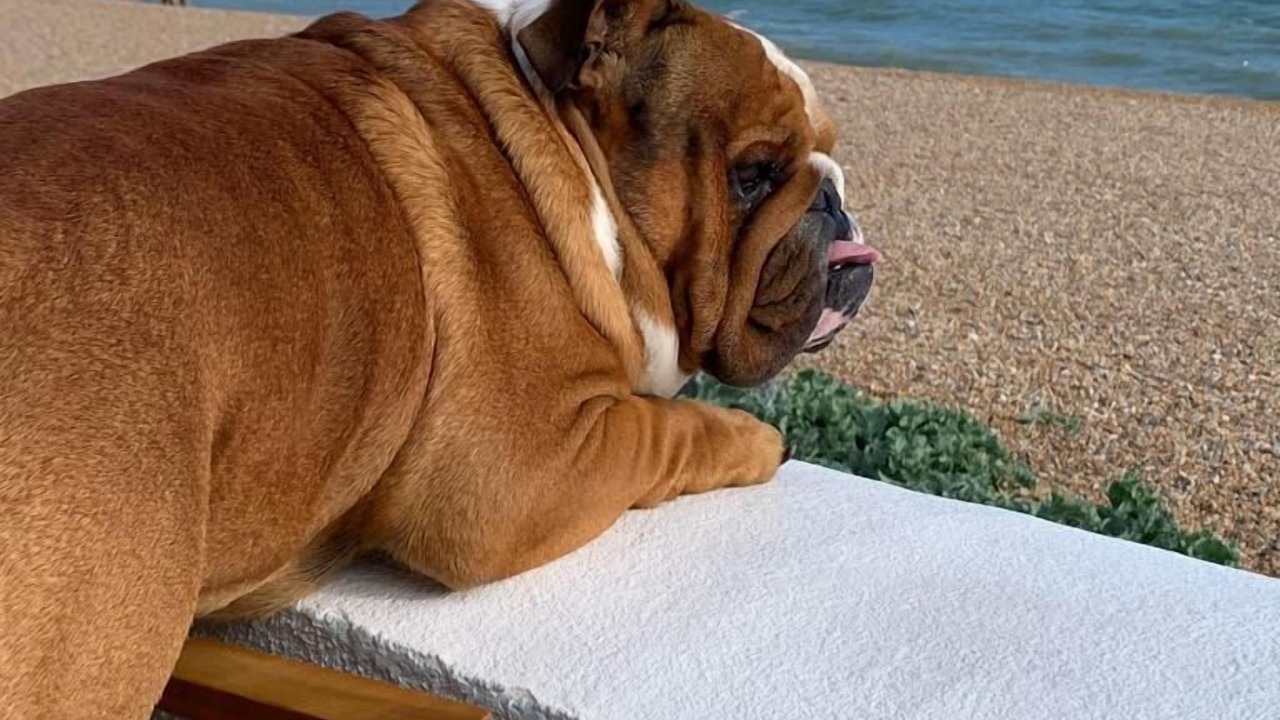 Photo of Others in Folkestone