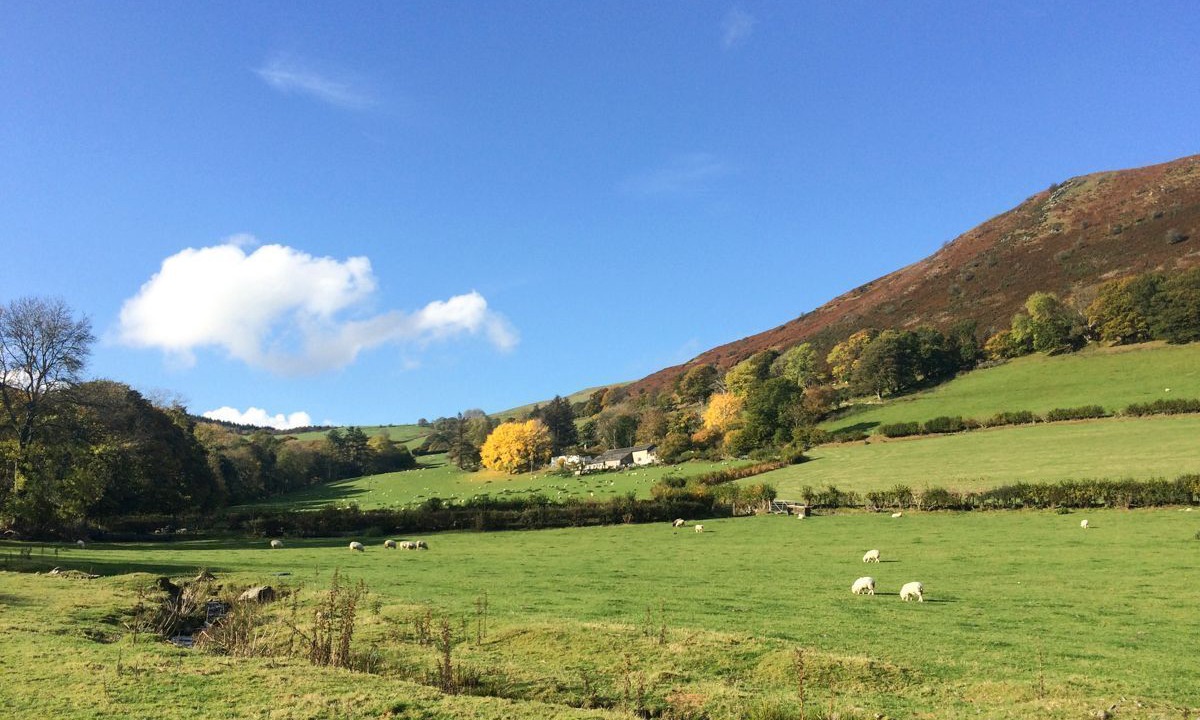 Photo of Others in Pennant Melangell