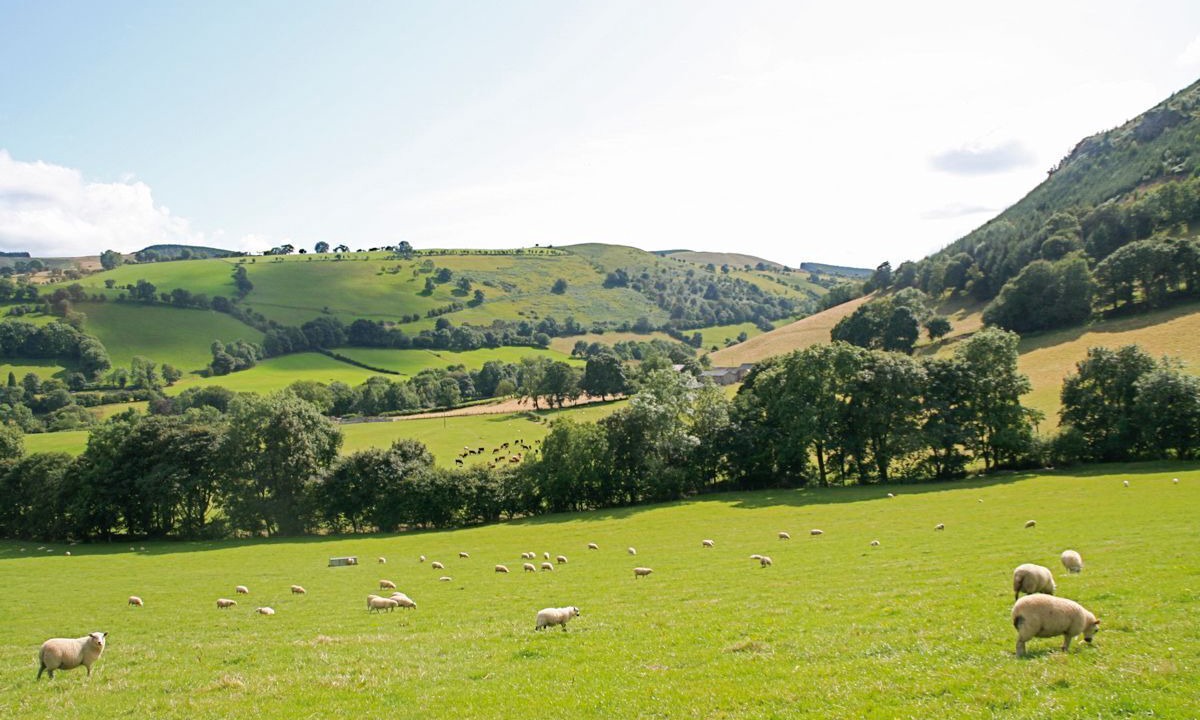 Photo of Others in Pennant Melangell