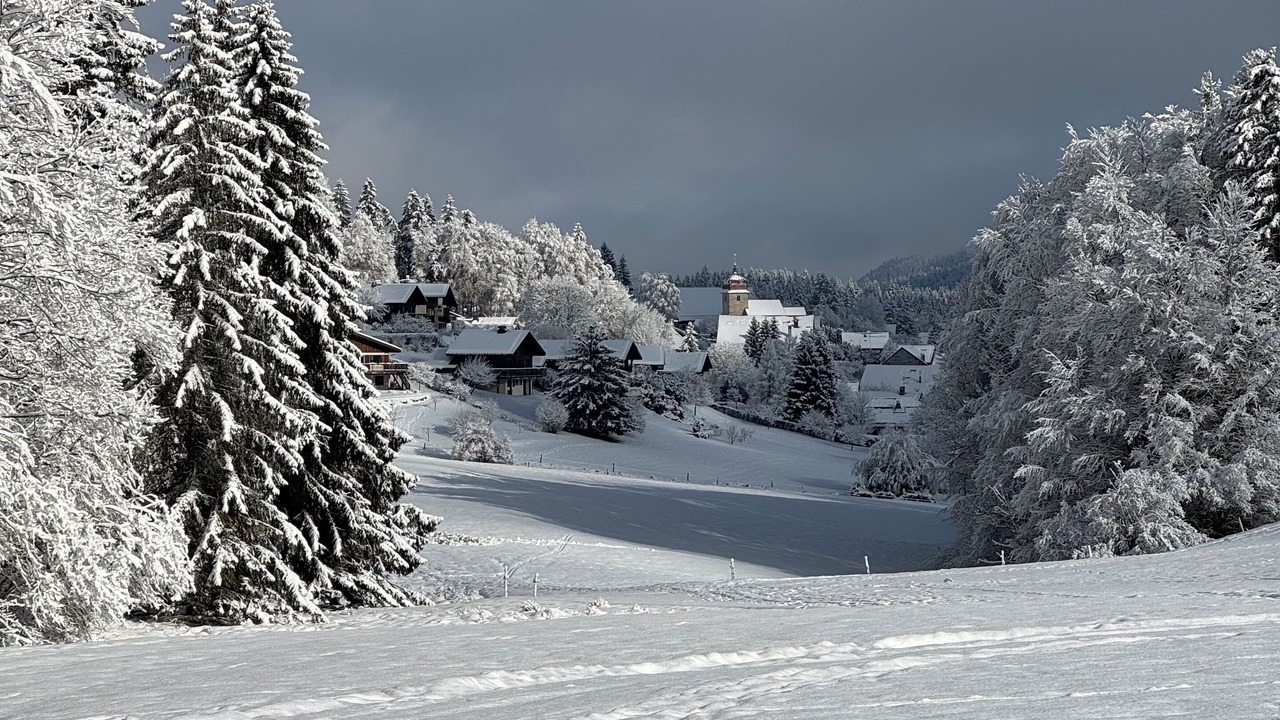 Photo of Others in Les Grangettes