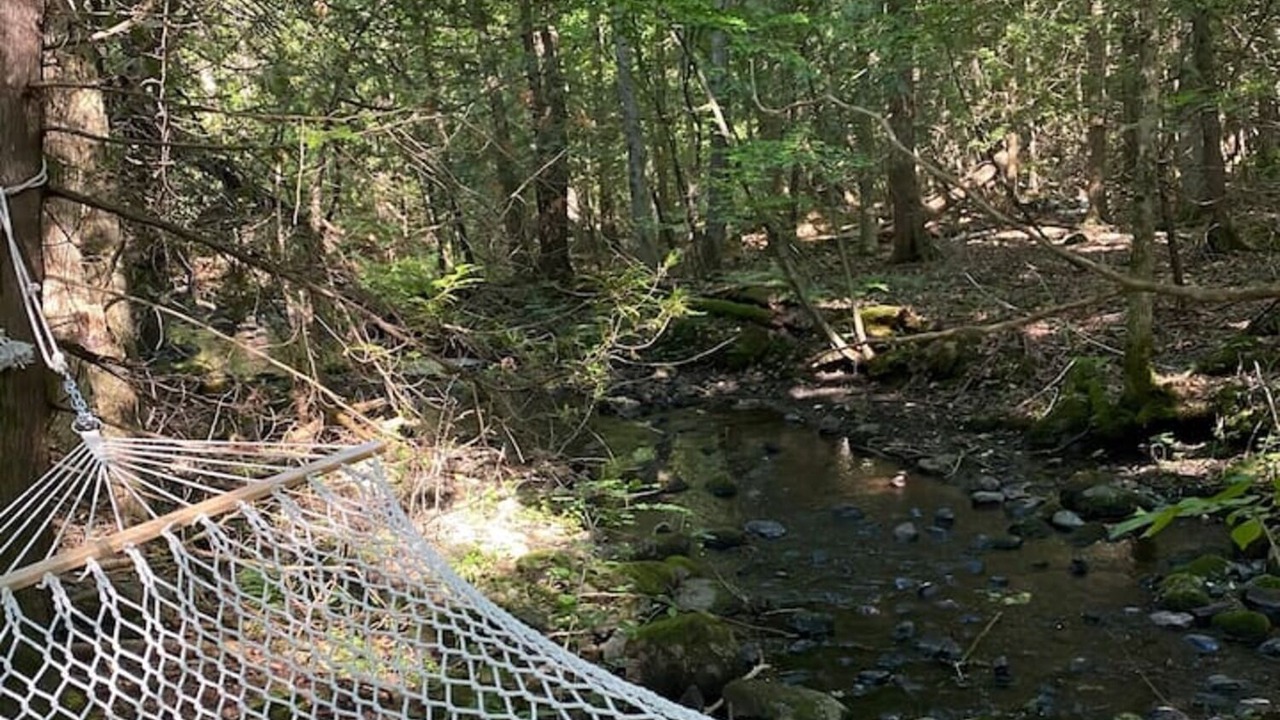 Photo of Outdoor in Trent Hills