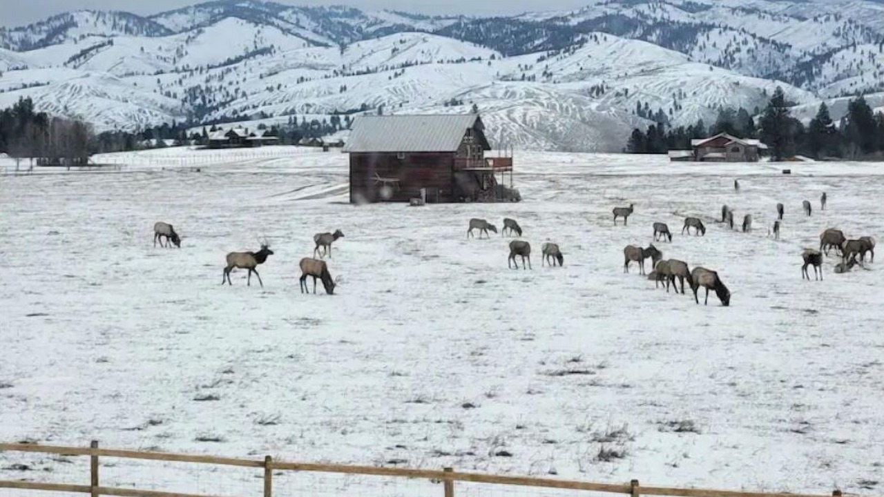 Photo of Others in Darby