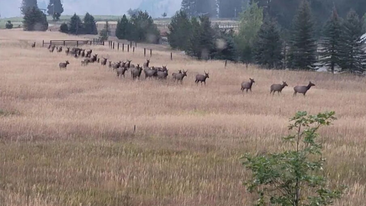 Photo of Others in Darby