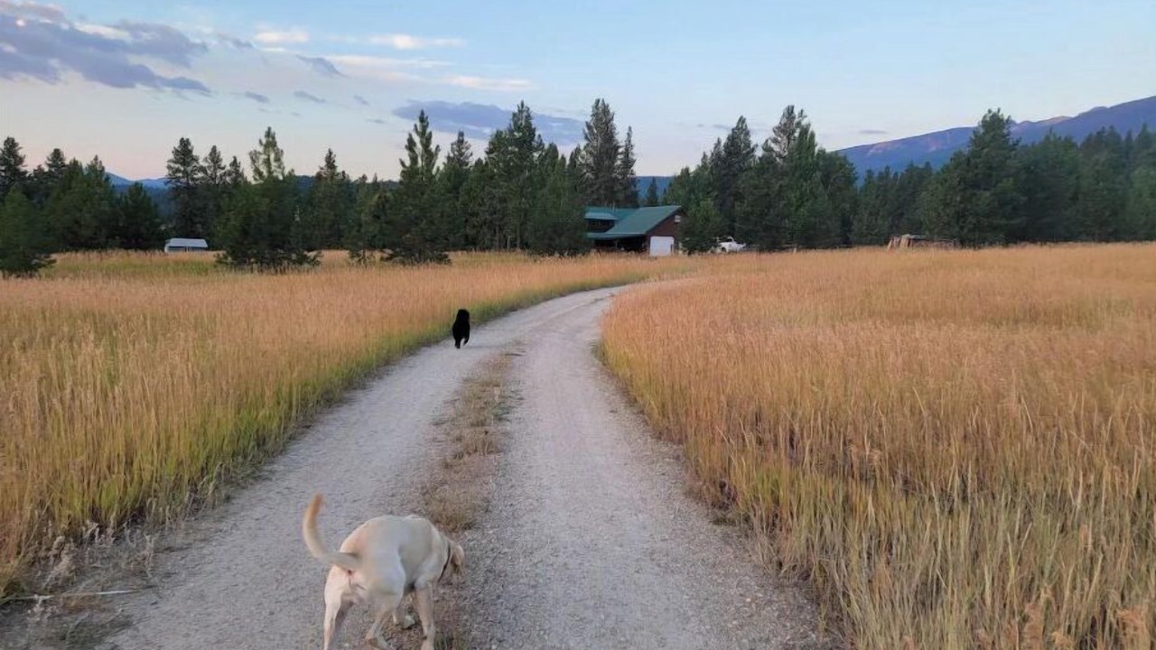 Photo of Others in Darby