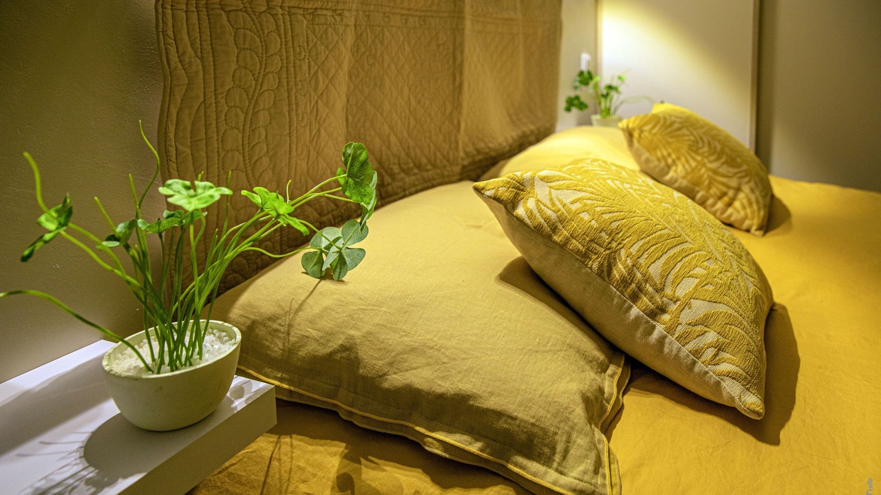 Photo of Bedroom in Albi