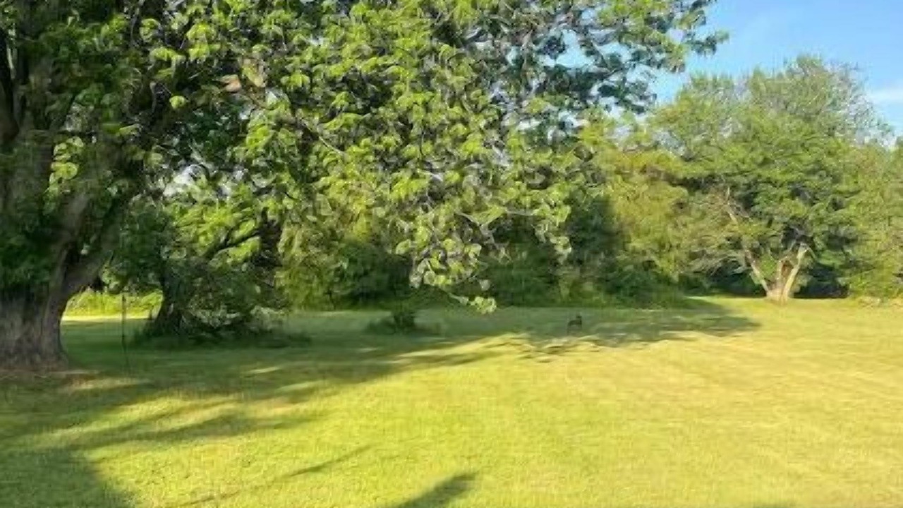 Photo of Others in Portage