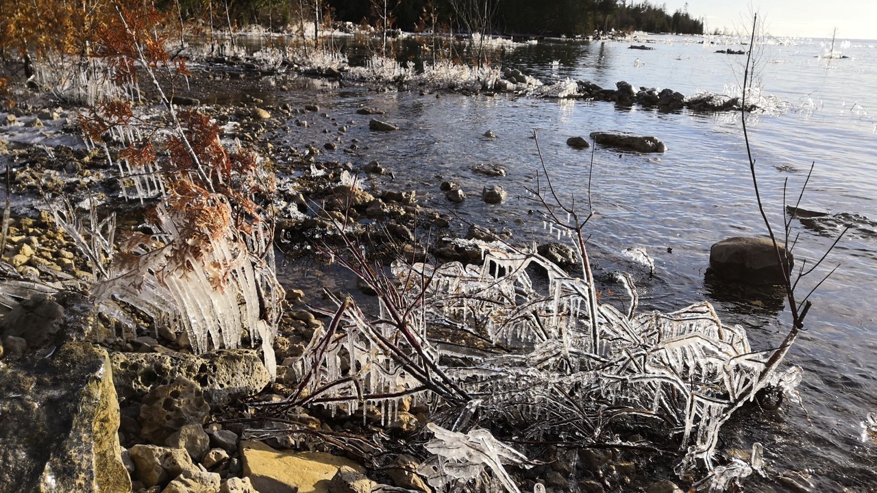 Photo of Others in Colpoys Bay