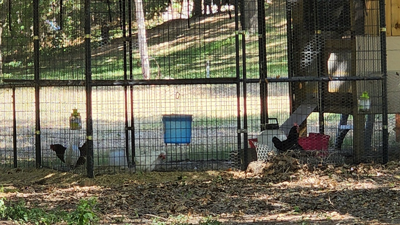 Photo of Outdoor in Bastrop