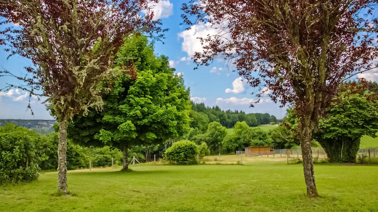 Photo of Bedroom in Ussel