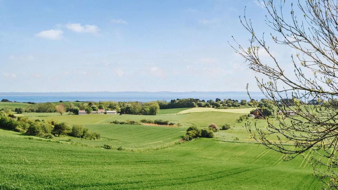 Photo of Others in Sjllands Odde