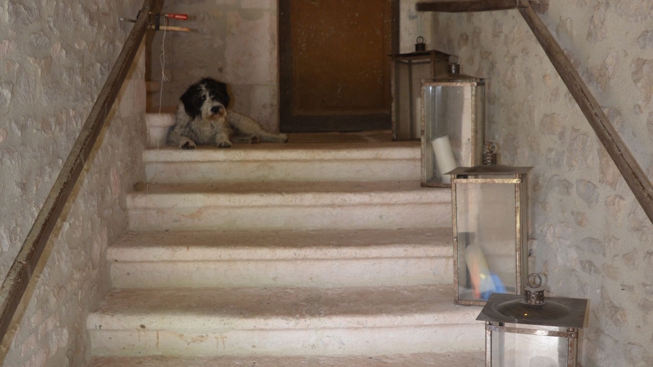 Photo of Others in Serignac