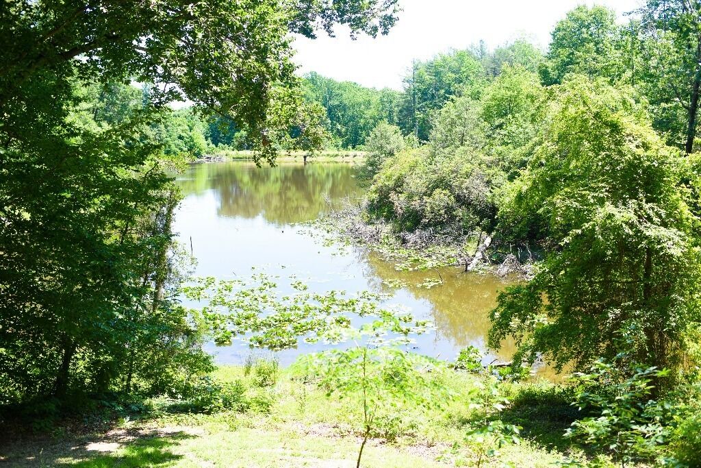 Photo of Outdoor in Colonial Beach