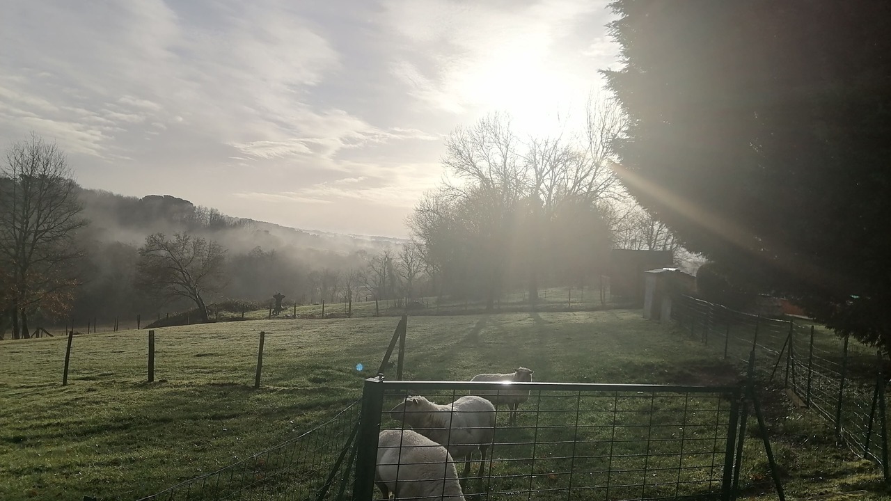 Photo of Outdoor in Montlieu la Garde