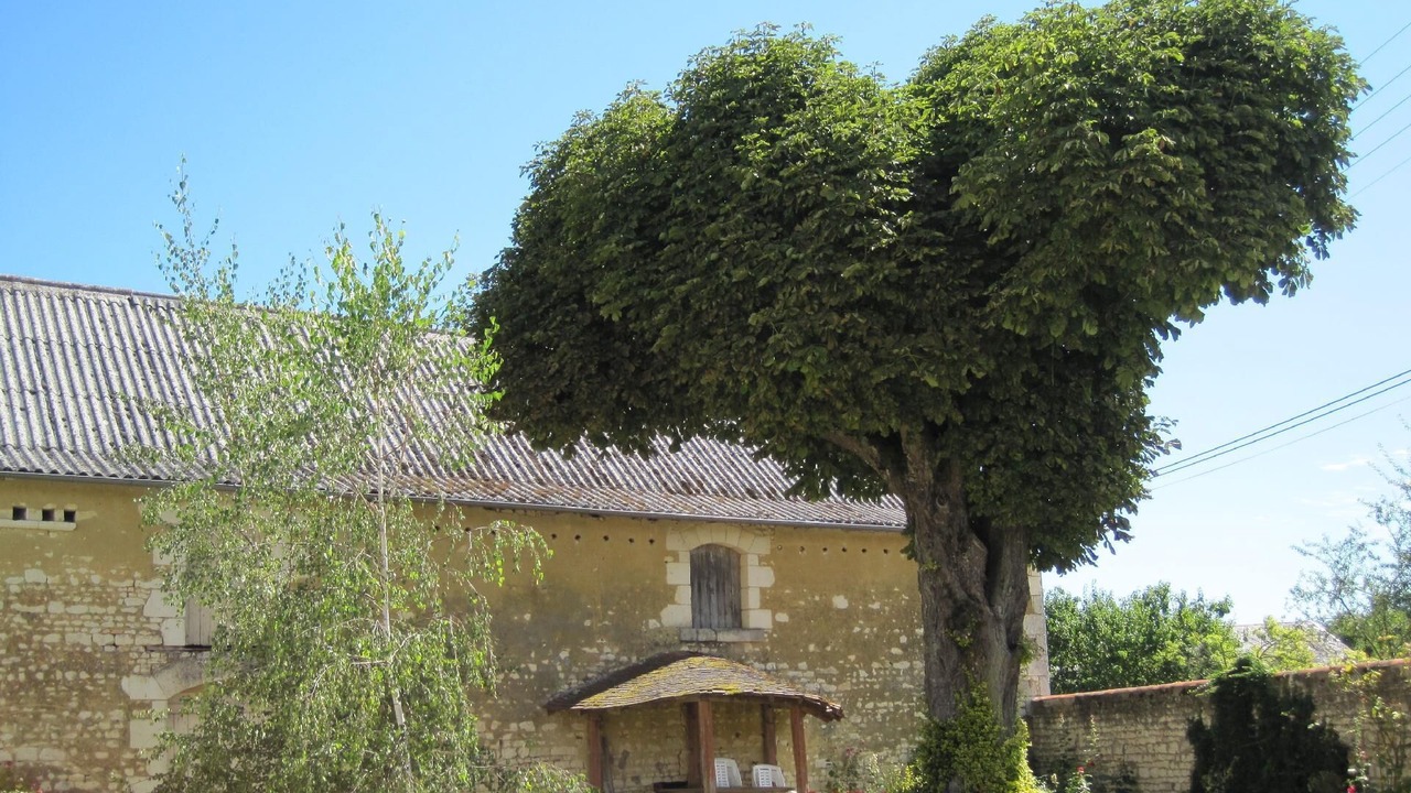 Photo of Outdoor in Thurageau