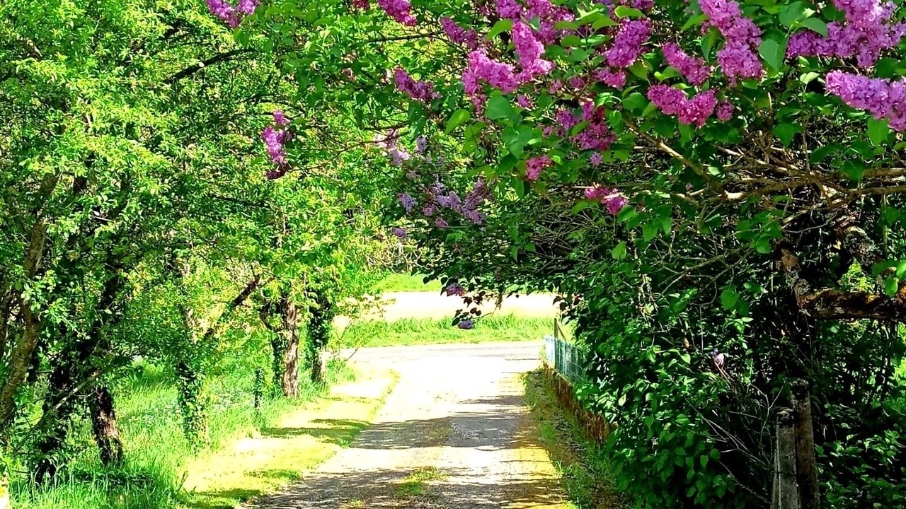 Photo of Outdoor in Salignac-Eyvignes