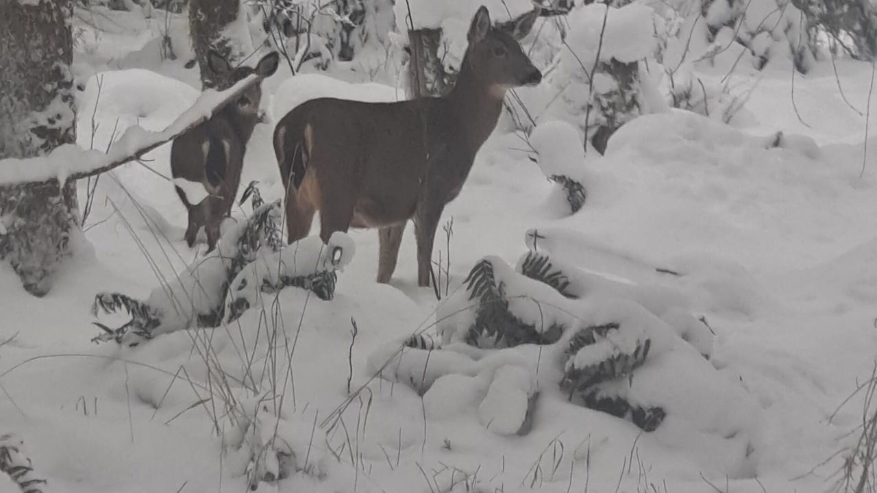 Photo of Outdoor in Ashford