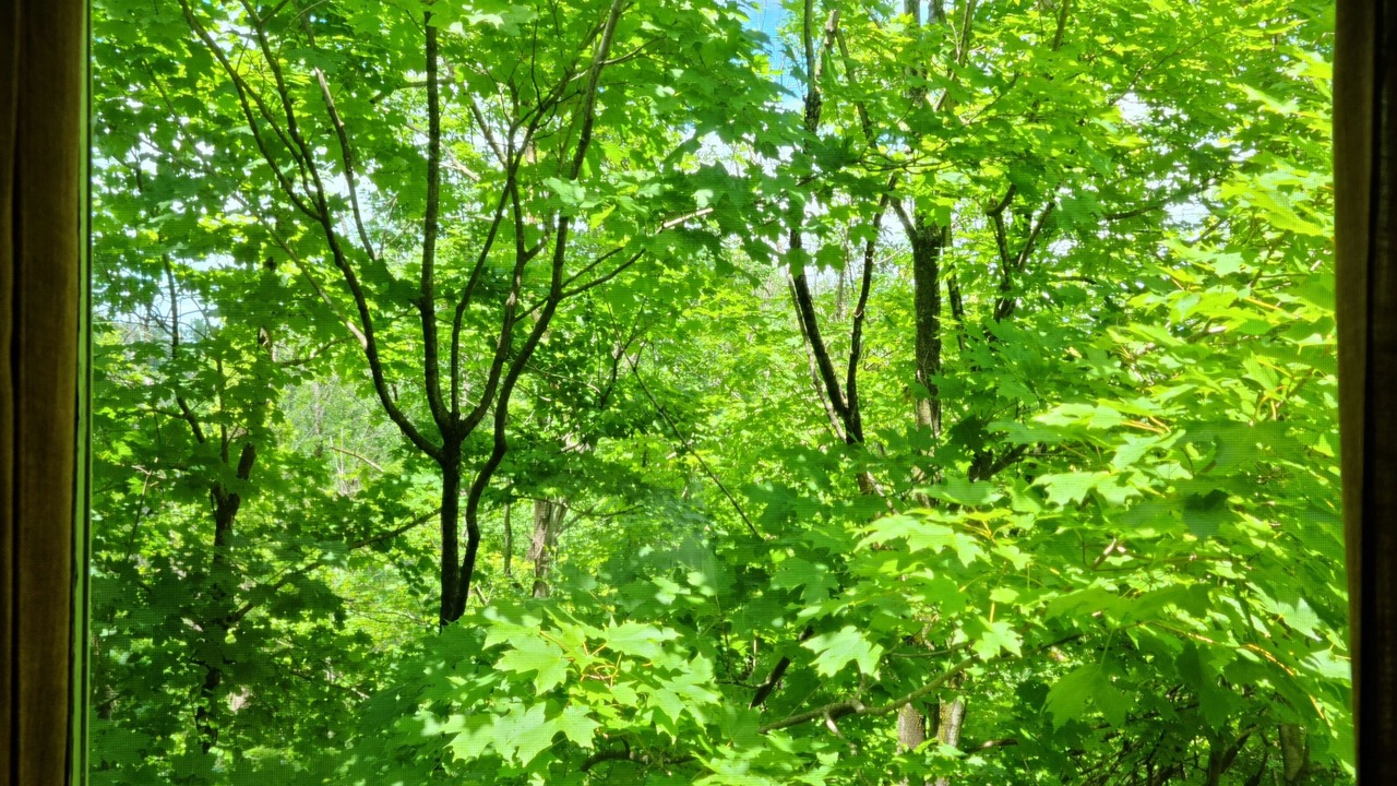 Photo of Others in Castleton-on-Hudson