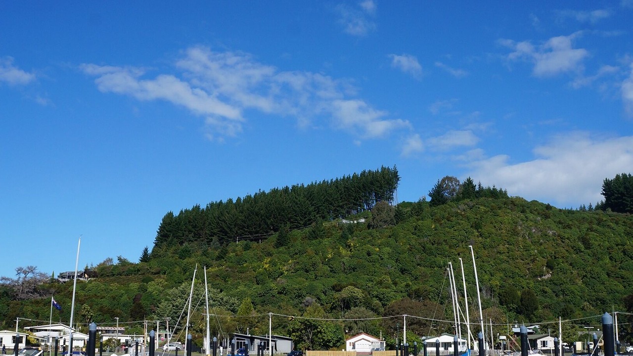 Photo of Others in Motuoapa