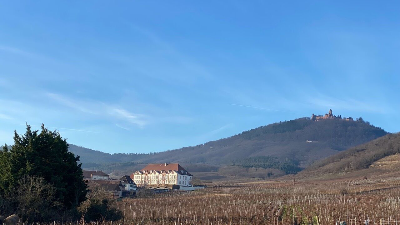 Photo of Others in Saint-Hippolyte