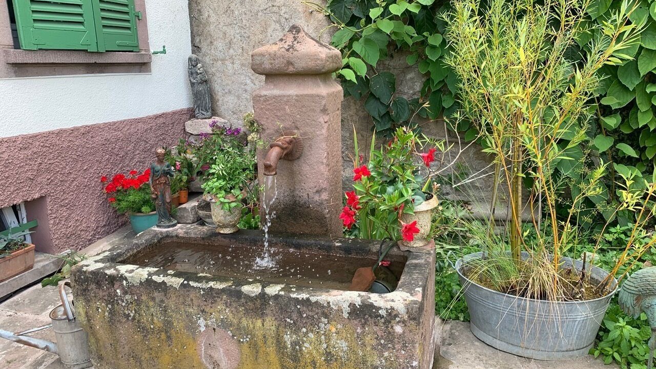 Photo of Outdoor in Saint-Hippolyte