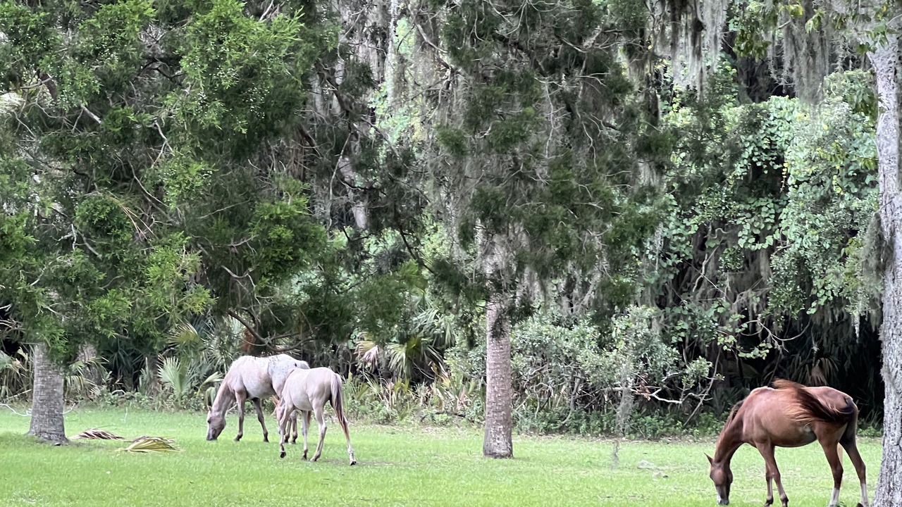 Photo of Others in Camden