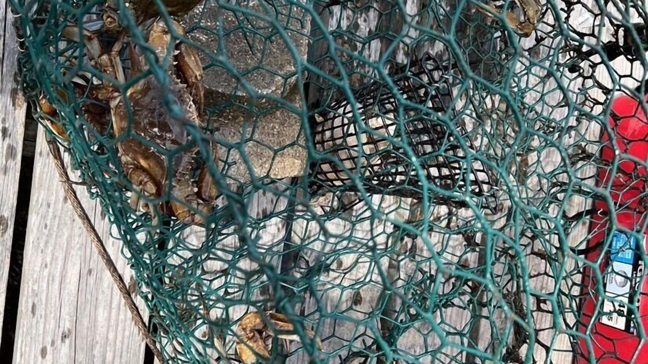 Photo of Others in Camden