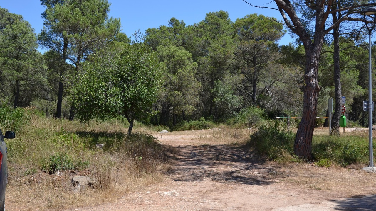 Photo of Outdoor in La Torre Vella