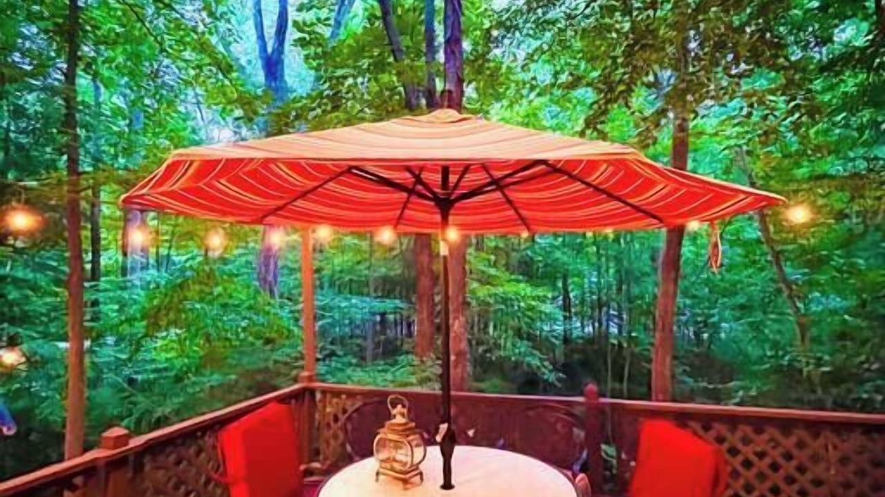 Photo of Outdoor in Mint Hill