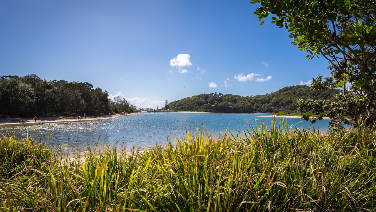 Photo of Others in Palm Beach