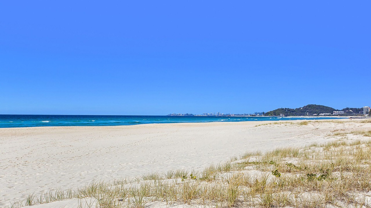 Photo of Others in Palm Beach