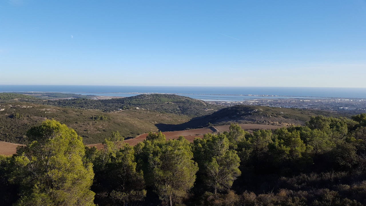 Photo of Others in Frontignan