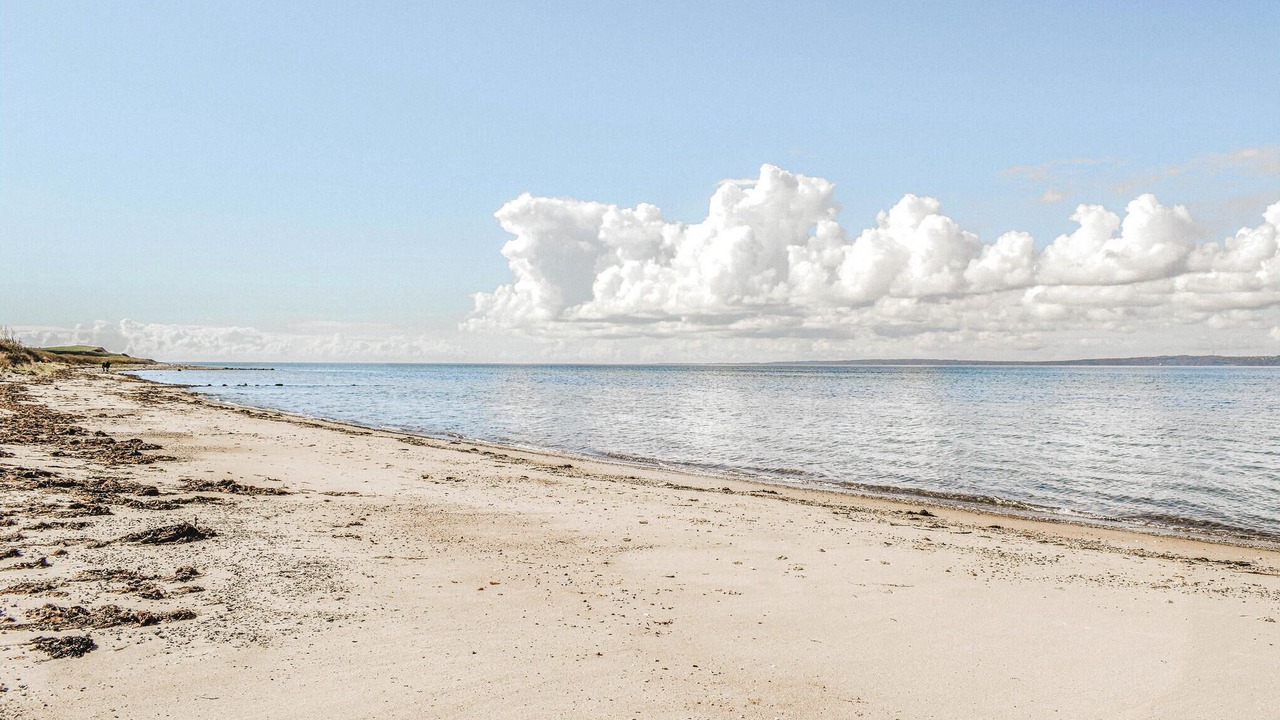 Photo of Others in Skødshoved Strand