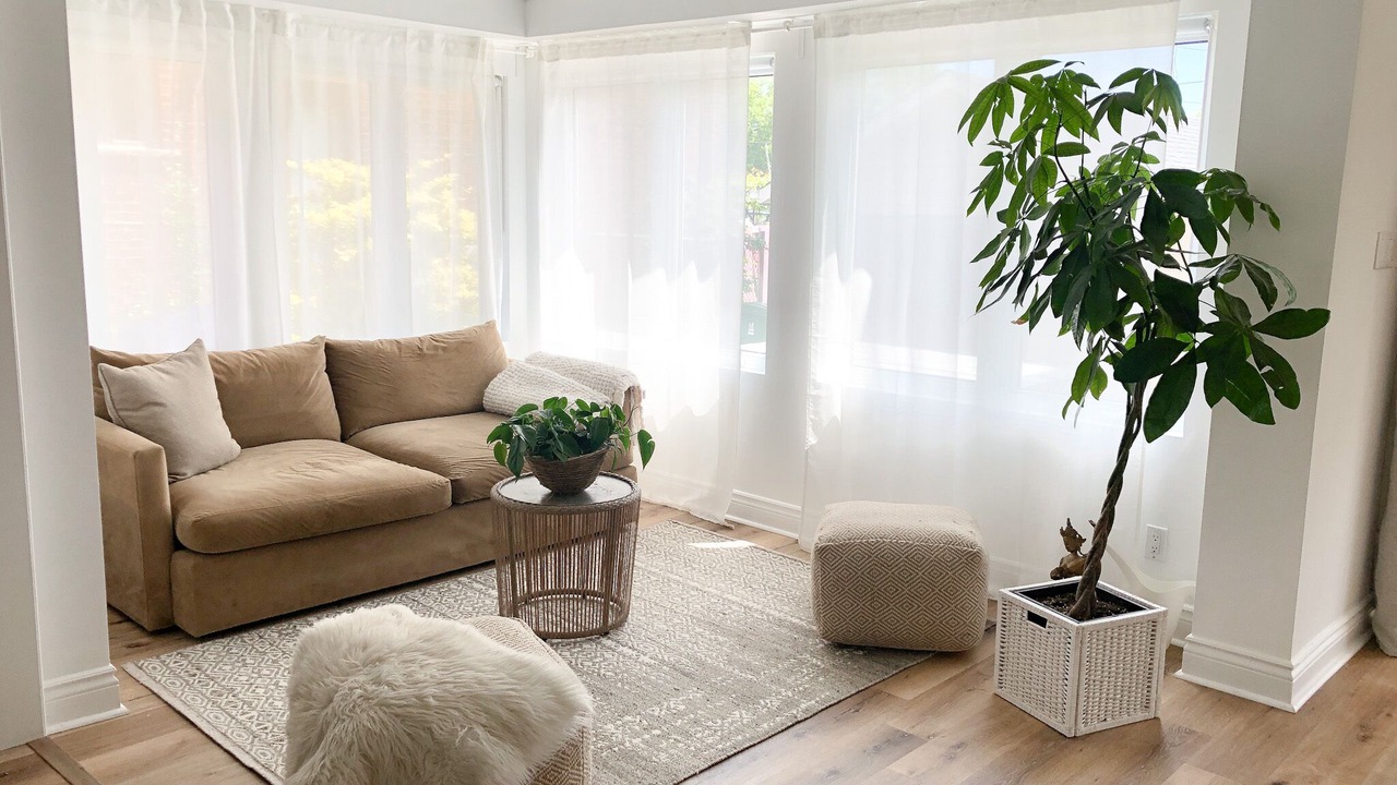 Photo of Livingroom in Long Branch