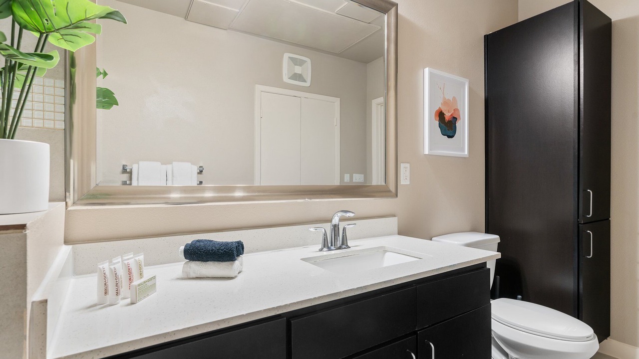 Photo of Bathroom in Texas Medical Center
