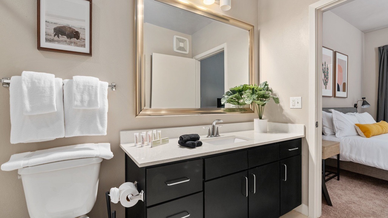 Photo of Bathroom in Texas Medical Center