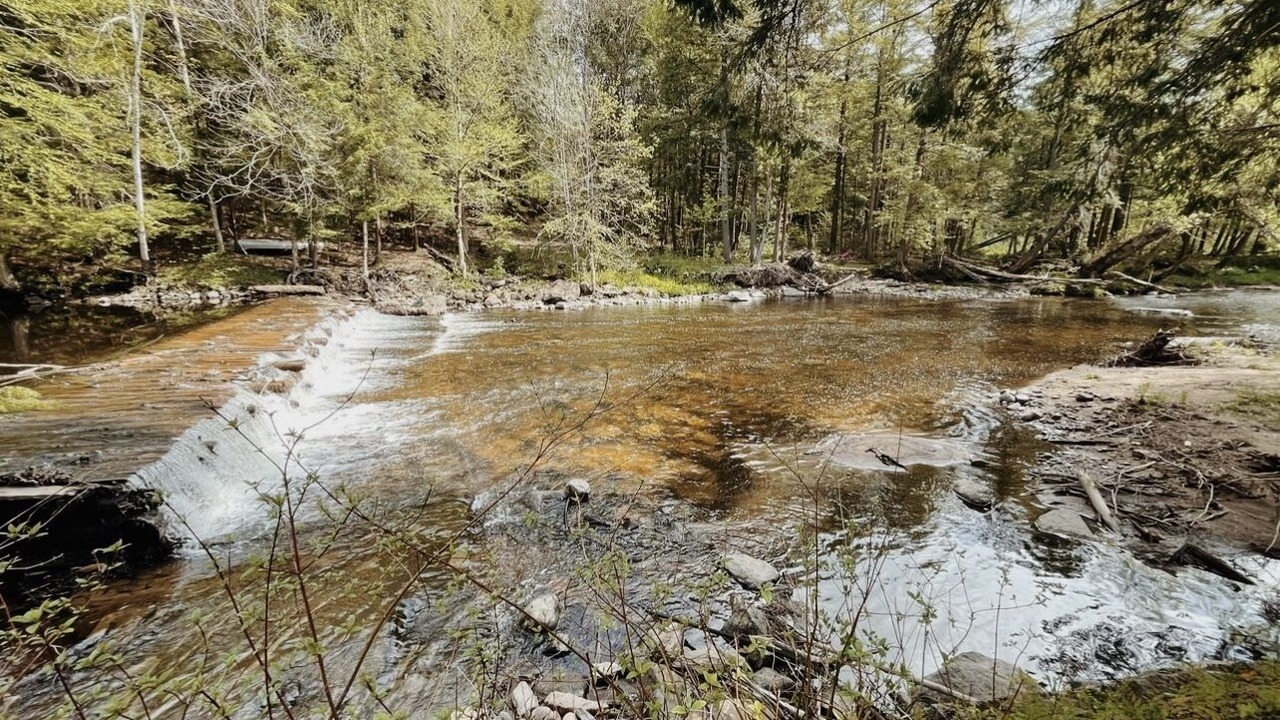 Photo of Outdoor in Salisbury Center